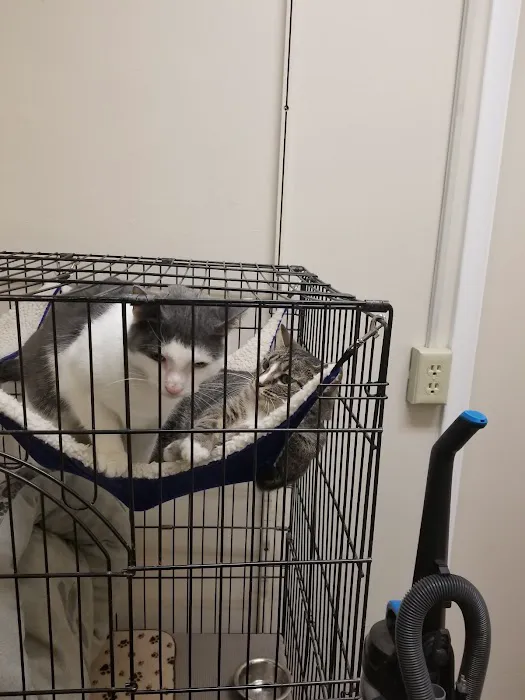 Noah's Ark Animal Hospital 12