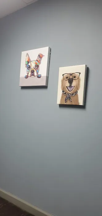 Noah's Ark Animal Hospital 12