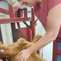 Hypoint Veterinary Health, L.L.C. ico