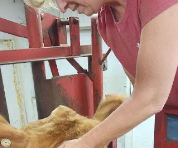 Hypoint Veterinary Health, L.L.C.