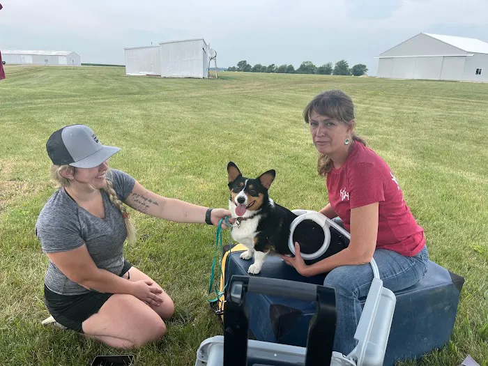 Hypoint Veterinary Health, L.L.C. 4