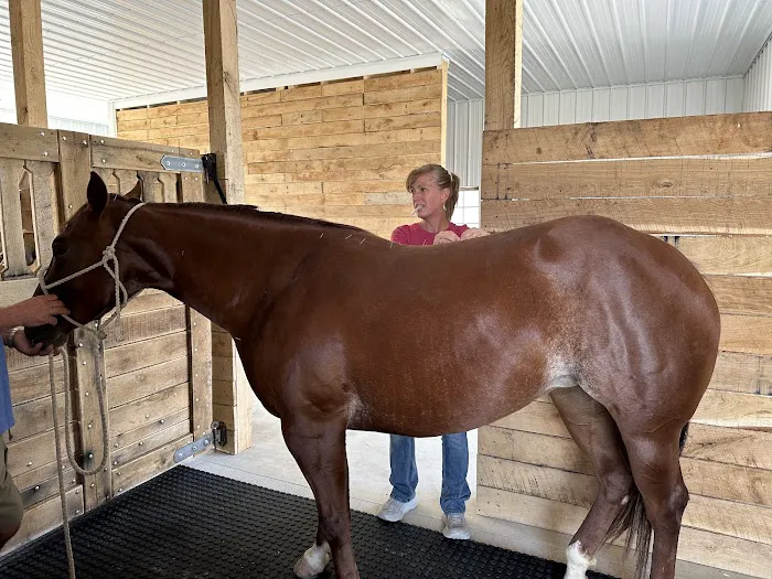 Hypoint Veterinary Health, L.L.C. 2