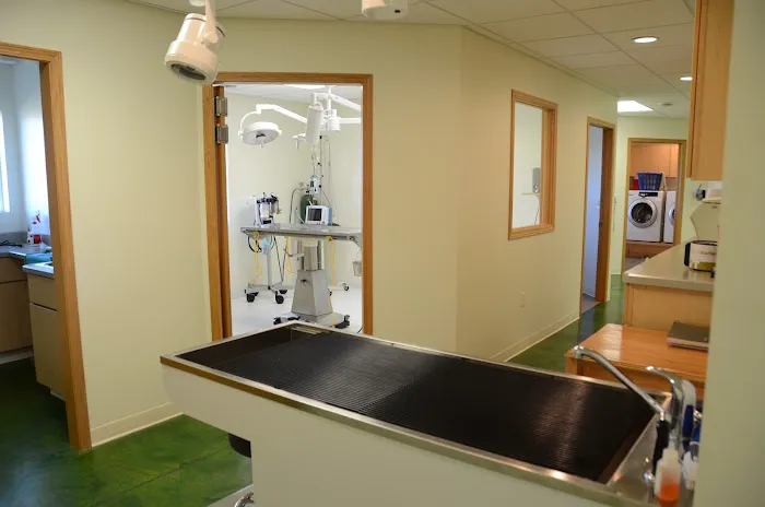 Vinton-Urbana Veterinary Hospital 12