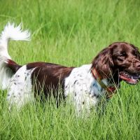 La Porte City Vet Clinic ico