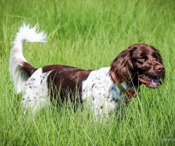 La Porte City Vet Clinic