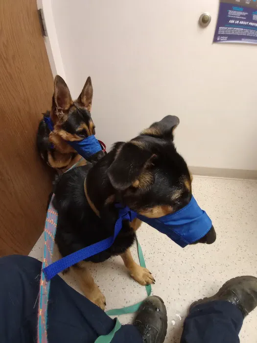 Logan Animal Hospital 12