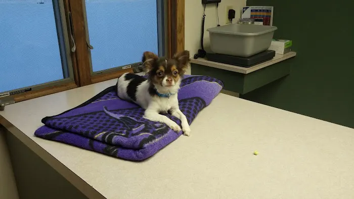 Logan Animal Hospital 12
