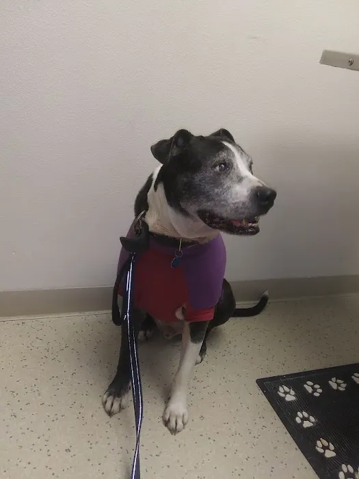 Logan Animal Hospital 12