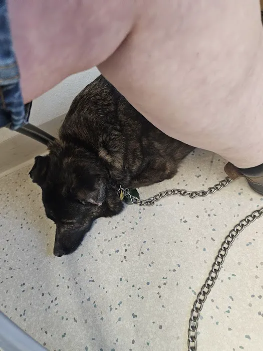 Logan Animal Hospital 12