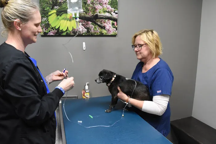 Den Herder Veterinary Hospital 12