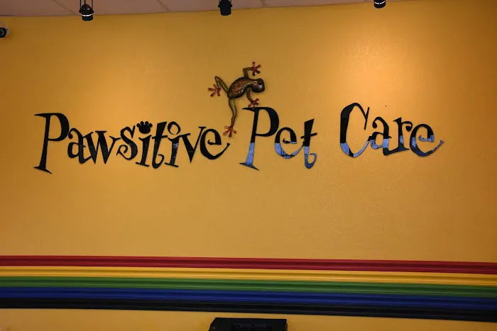 Pawsitive Pet Care 12