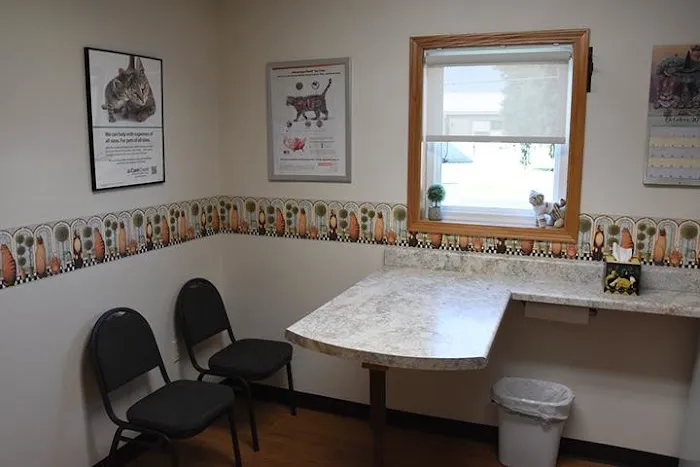 Purr-Sonal Care Cat Clinic 12