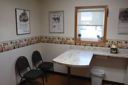 Purr-Sonal Care Cat Clinic