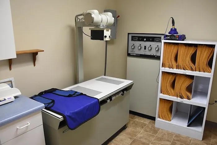 Purr-Sonal Care Cat Clinic 12