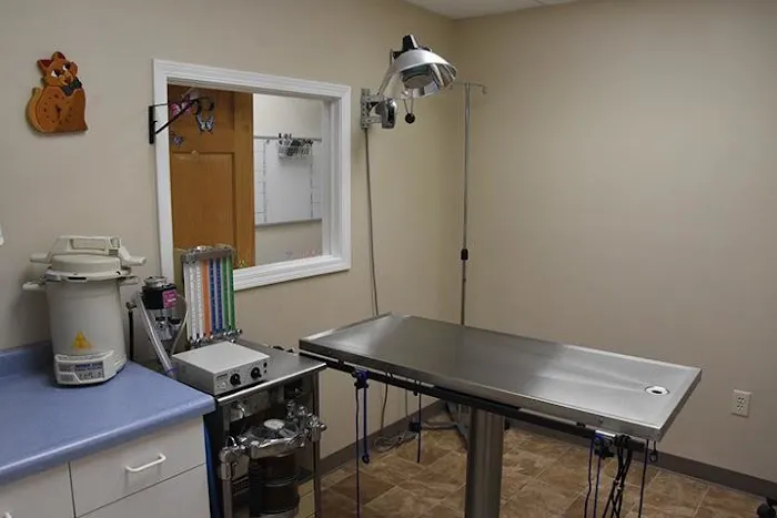 Purr-Sonal Care Cat Clinic 12