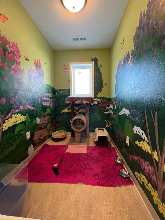 Purr-Sonal Care Cat Clinic 12