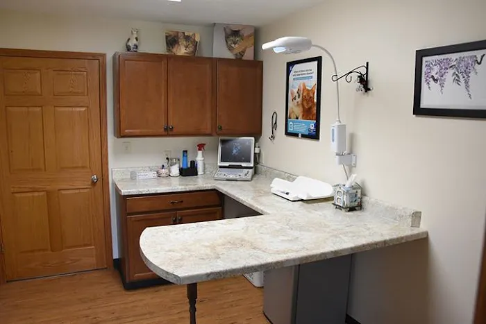 Purr-Sonal Care Cat Clinic 12