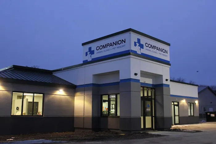 Companion Animal Clinic & Pet Resort 12