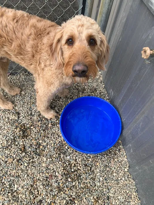 Companion Animal Clinic & Pet Resort 12