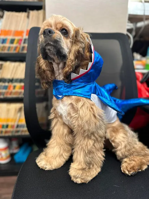 Town & Country Veterinary Clinic 10