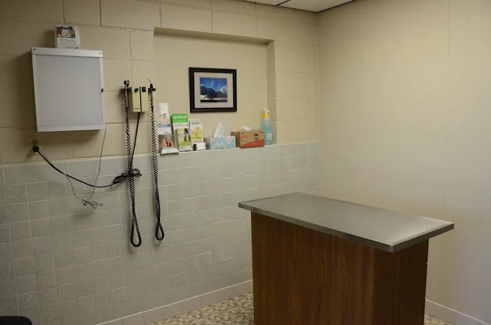 Town & Country Veterinary Clinic 7