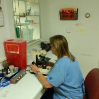 Town & Country Veterinary Clinic ico