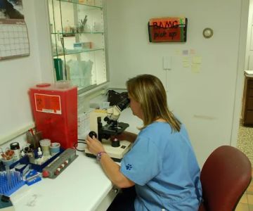 Town & Country Veterinary Clinic