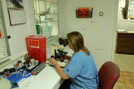 Town & Country Veterinary Clinic