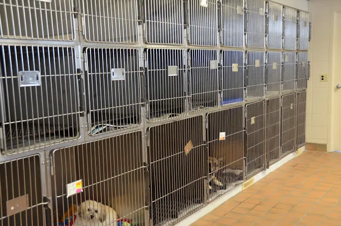 Town & Country Veterinary Clinic 6