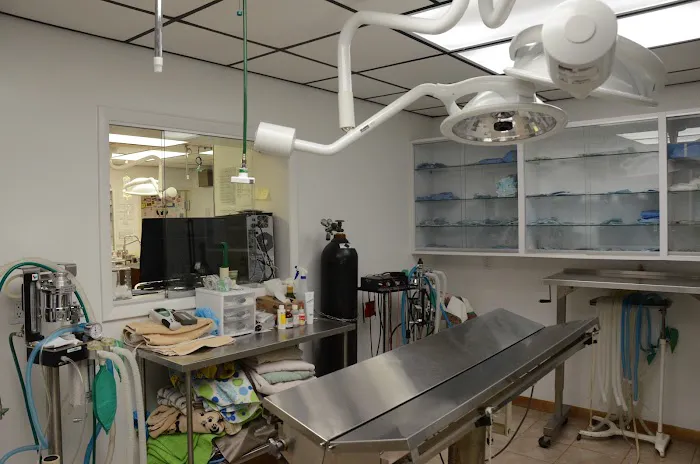 Town & Country Veterinary Clinic 5