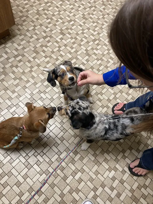 Town & Country Veterinary Clinic 9
