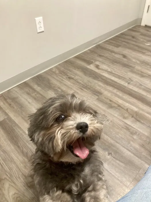 Town & Country Veterinary Clinic 12