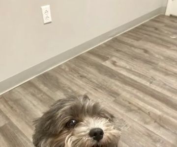 Town & Country Veterinary Clinic