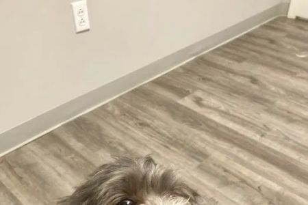 Town & Country Veterinary Clinic