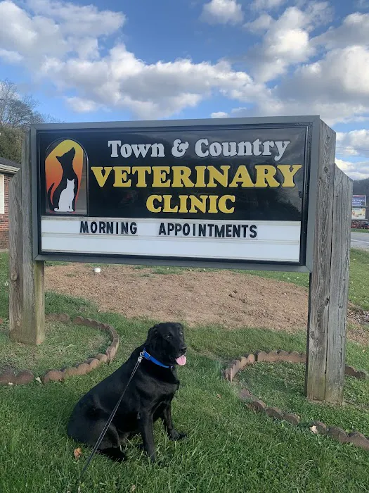 Town & Country Veterinary Clinic 12
