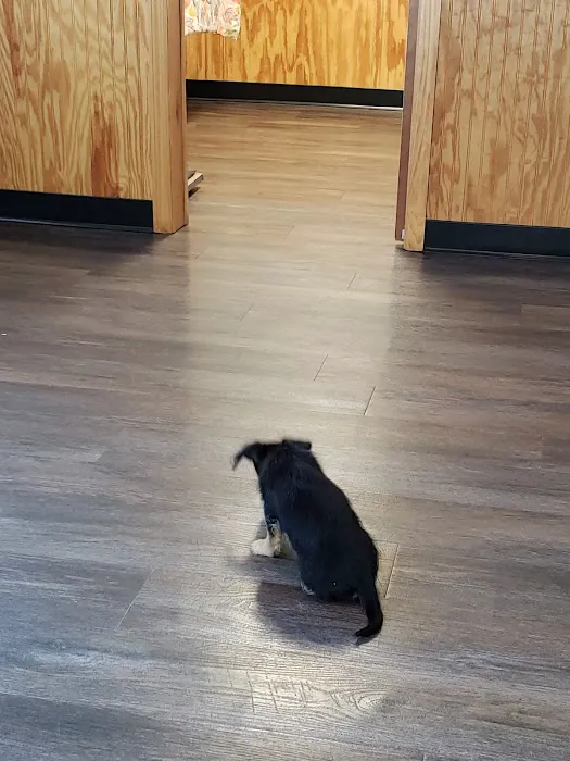 Southwood Animal Hospital 12