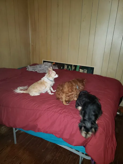 Southwood Animal Hospital 12