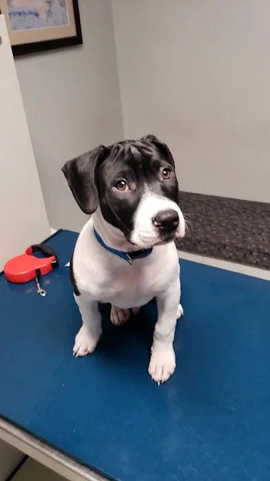 Parkersburg Veterinary Hospital: Shockey, Todd DVM 3
