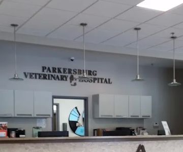 Parkersburg Veterinary Hospital: Shockey, Todd DVM