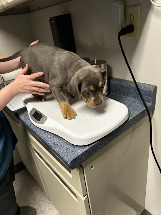 Parkersburg Veterinary Hospital 12