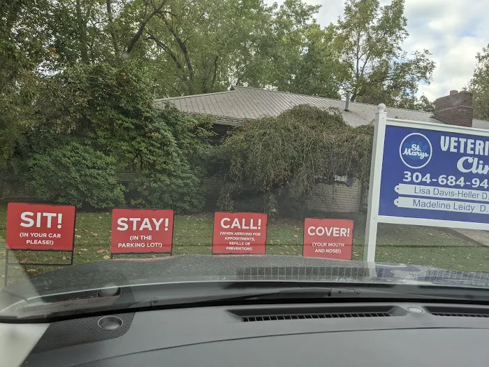 St Marys Vet Clinic 9
