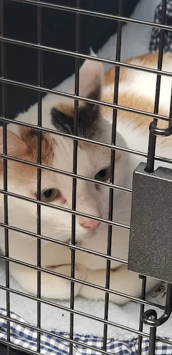 St Marys Vet Clinic 3
