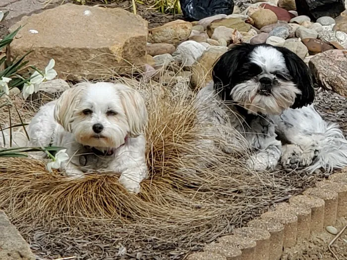 Sugarcreek Veterinary Clinic 4