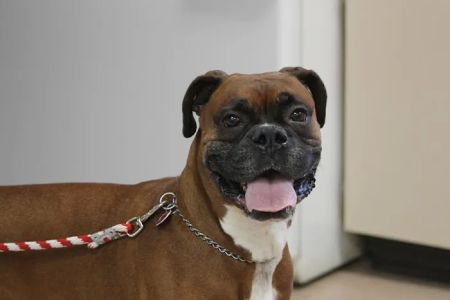 Sugarcreek Veterinary Clinic