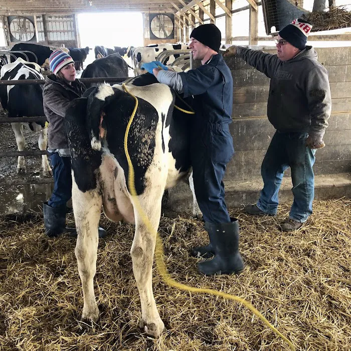 Orrville Veterinary Clinic Inc 12