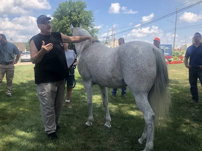 Orrville Veterinary Clinic Inc 12
