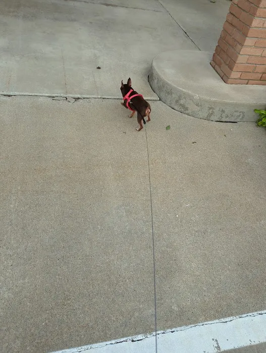 Orrville Veterinary Clinic Inc 12