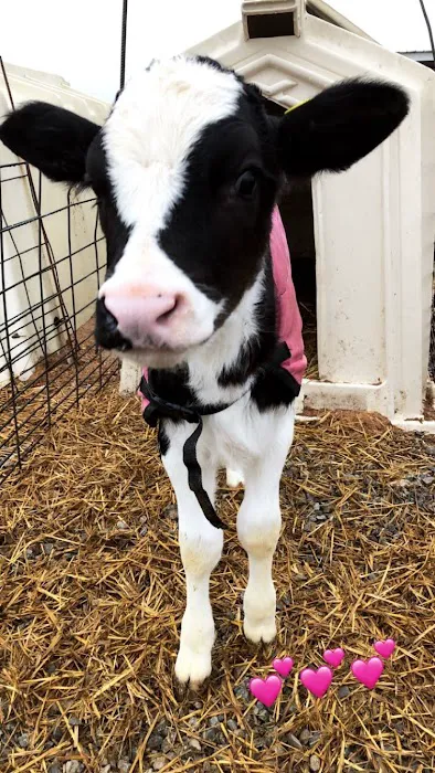 Orrville Veterinary Clinic Inc 12