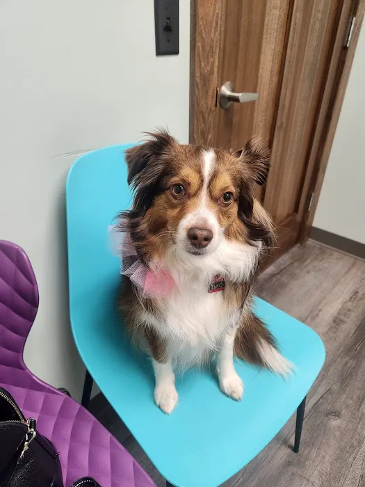 Aquadale Veterinary Clinic 12