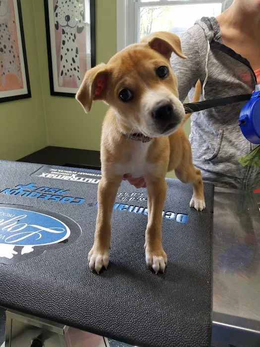 Aquadale Veterinary Clinic 12